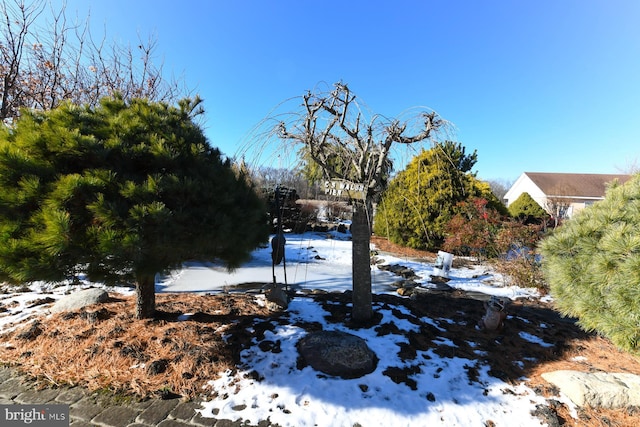 view of snowy yard