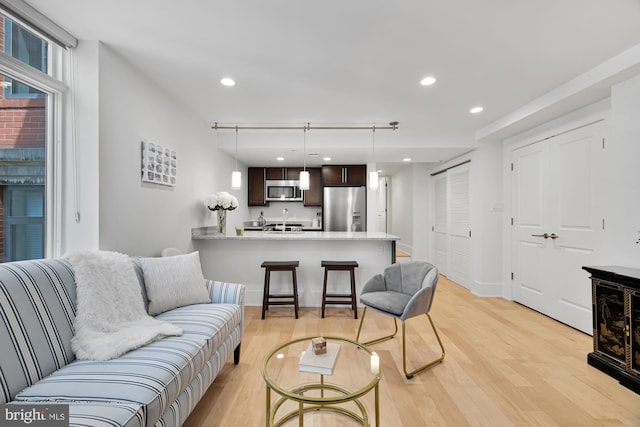 living room featuring light hardwood / wood-style floors