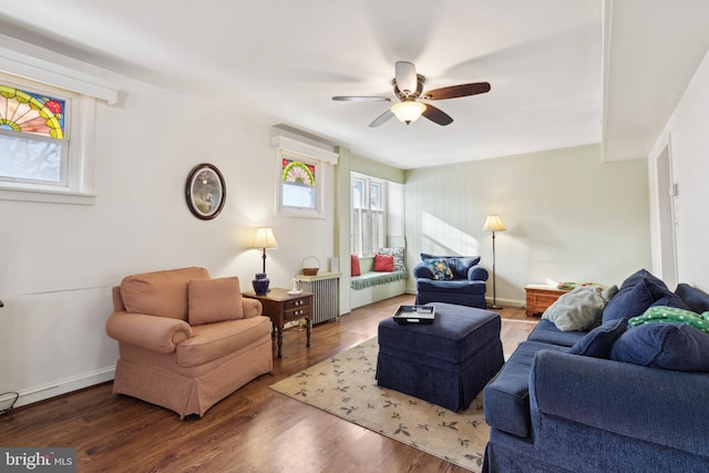 living room with ceiling fan and wood-type flooring