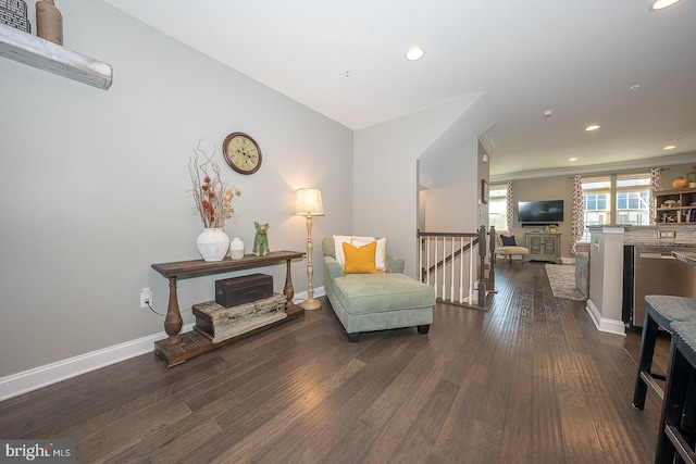 living area with dark hardwood / wood-style flooring