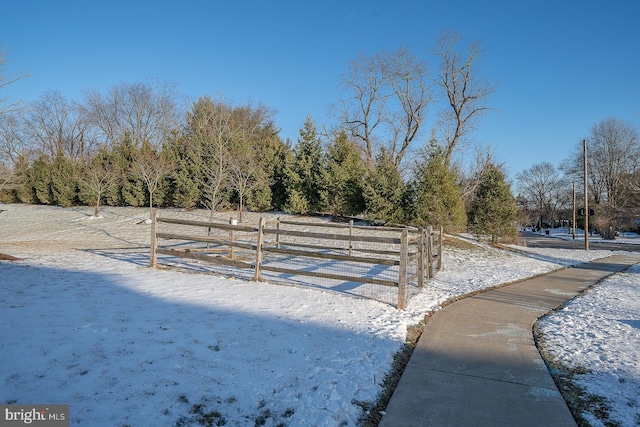 view of snowy yard