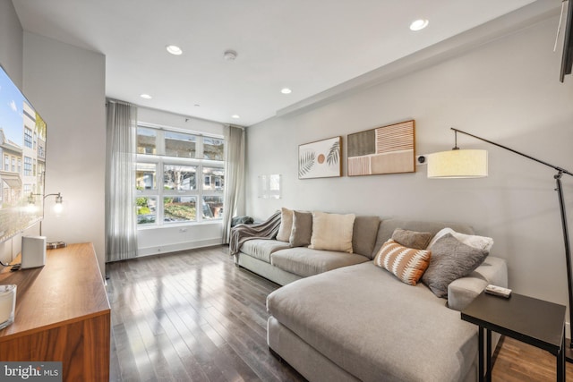 living room featuring dark hardwood / wood-style flooring