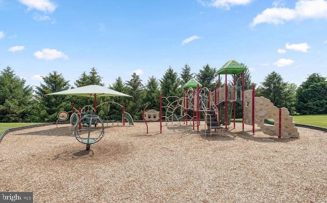 view of jungle gym