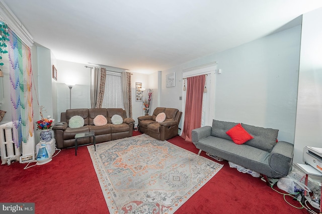 living room featuring radiator and carpet floors