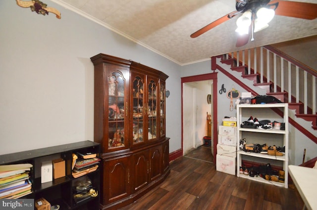 interior space featuring dark hardwood / wood-style floors and ornamental molding