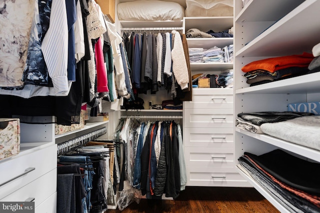 spacious closet featuring dark wood-type flooring