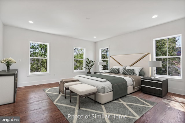 bedroom featuring dark hardwood / wood-style flooring and multiple windows