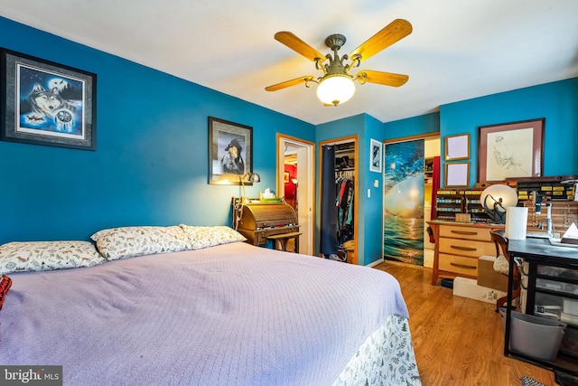 bedroom with a walk in closet, ceiling fan, a closet, and hardwood / wood-style flooring