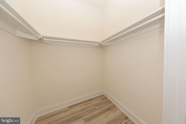 spacious closet with wood-type flooring