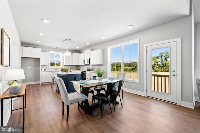 dining room featuring dark hardwood / wood-style floors