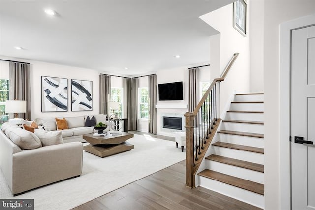 living room featuring dark wood-type flooring