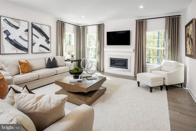 living room featuring wood-type flooring, a healthy amount of sunlight, and a premium fireplace