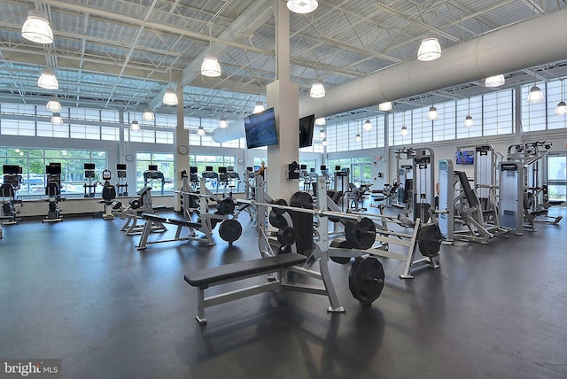 39281 Piney Dr Unit 55115, Bethany Beach, DE 19930 - gym with a high ceiling and a wealth of natural light