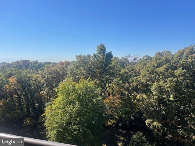 view of local wilderness featuring a wooded view