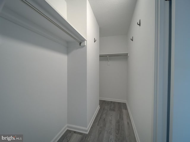 walk in closet featuring dark wood-style floors