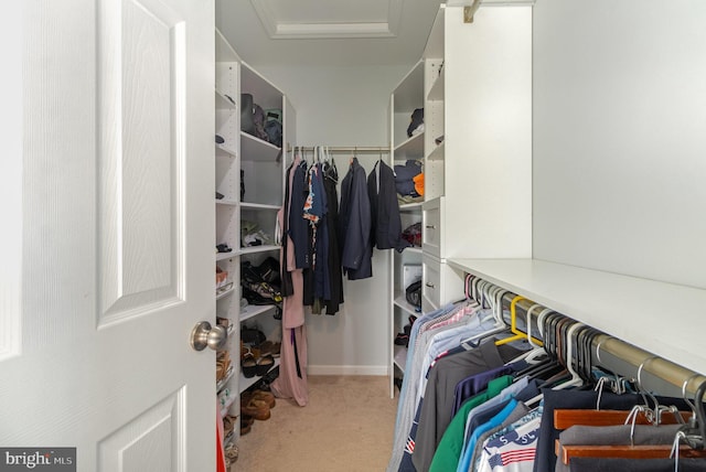 spacious closet with carpet