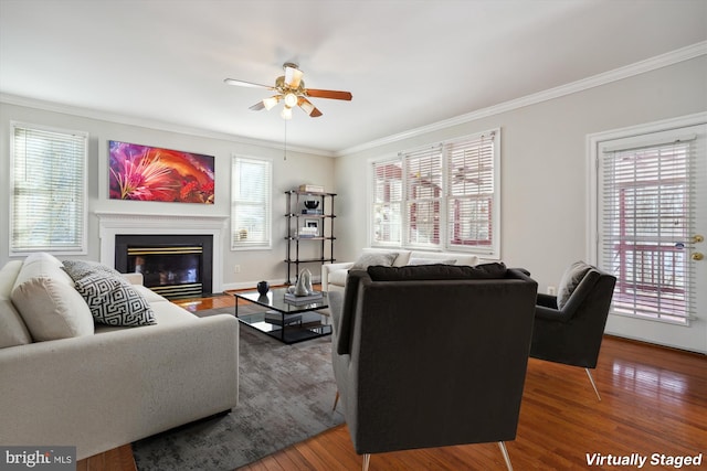 living room featuring ceiling fan, dark hardwood / wood-style flooring, and crown molding