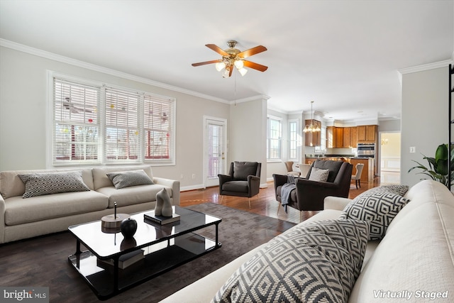 living room with ceiling fan with notable chandelier, dark hardwood / wood-style flooring, and ornamental molding