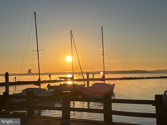 dock area with a water view