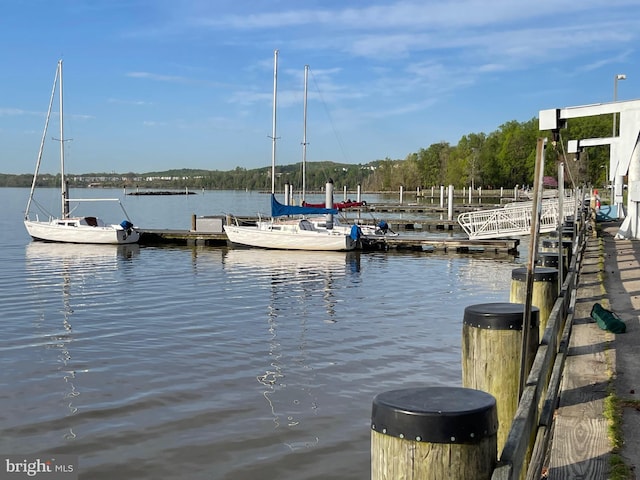 dock area with a water view