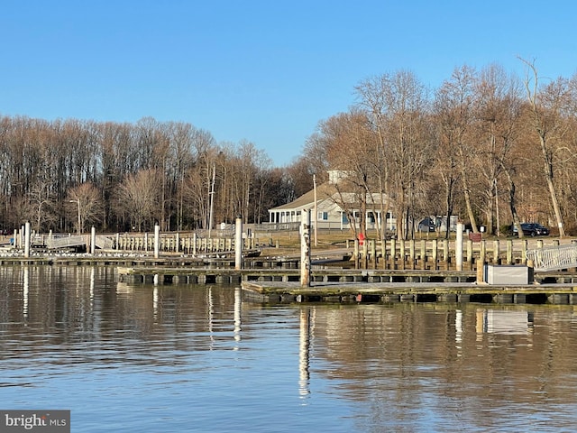 dock area with a water view