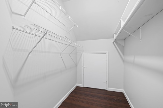 walk in closet with dark hardwood / wood-style floors