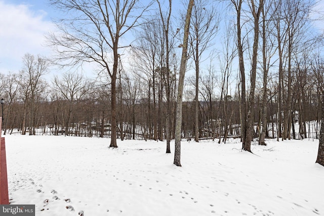 view of yard layered in snow