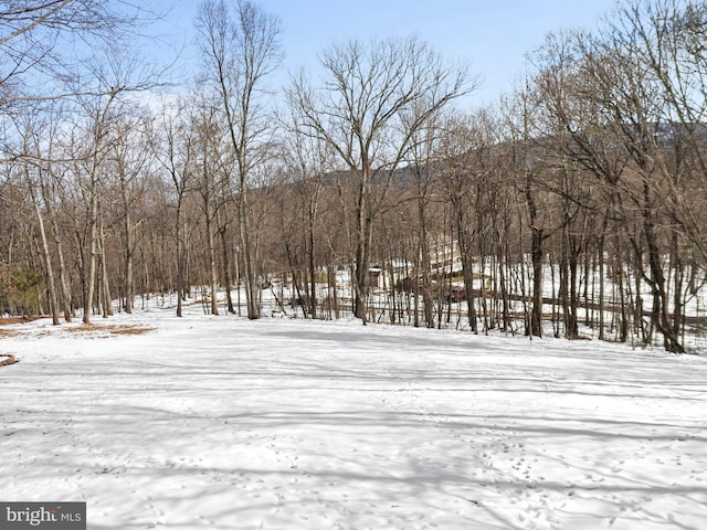 view of yard covered in snow