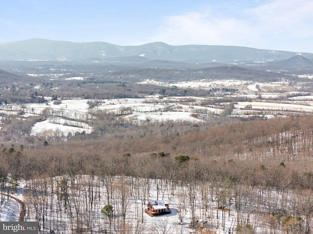 view of mountain feature