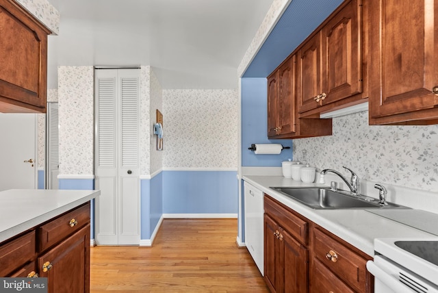 kitchen featuring white dishwasher, light hardwood / wood-style floors, and sink