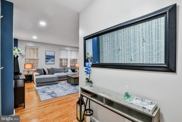 living room featuring hardwood / wood-style flooring