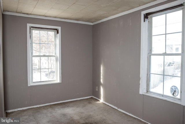 unfurnished room with carpet flooring and ornamental molding