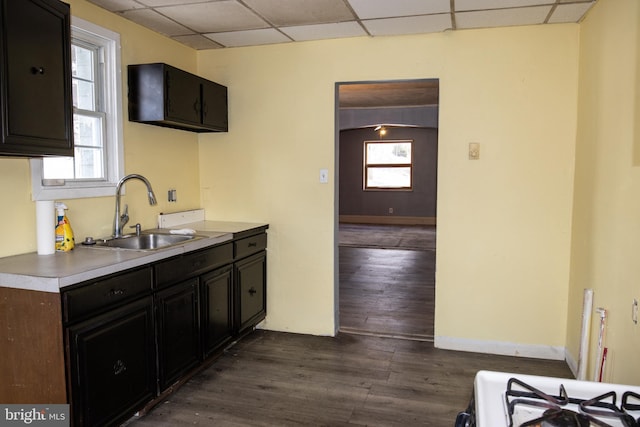 kitchen with white stove, dark hardwood / wood-style floors, a wealth of natural light, and sink