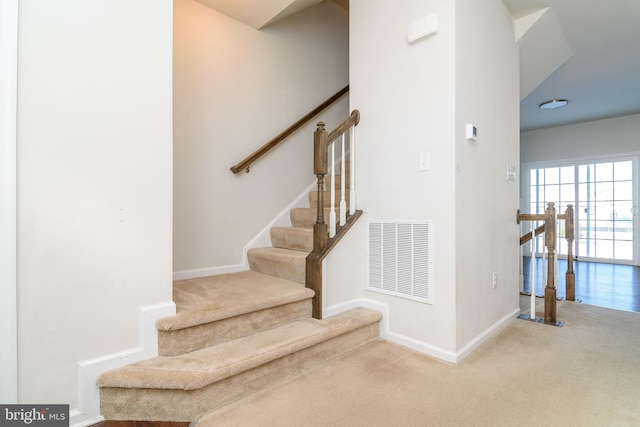 staircase with carpet floors