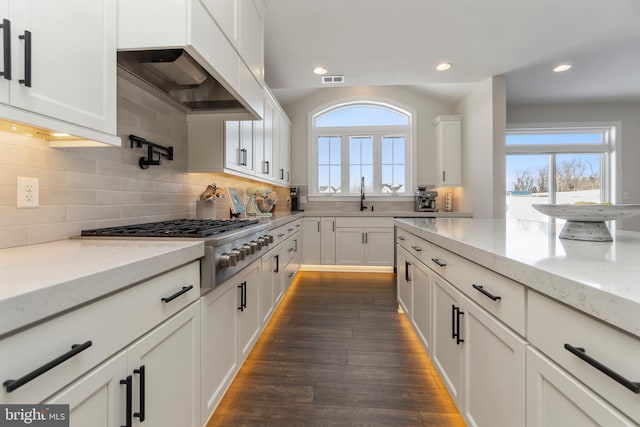 kitchen with dark wood-type flooring, sink, decorative backsplash, light stone countertops, and white cabinetry