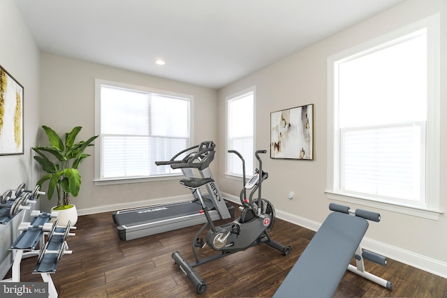 exercise room with dark hardwood / wood-style floors