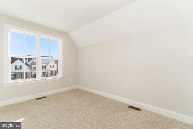 additional living space with carpet and lofted ceiling