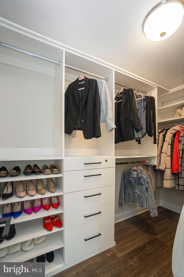 spacious closet featuring dark hardwood / wood-style flooring