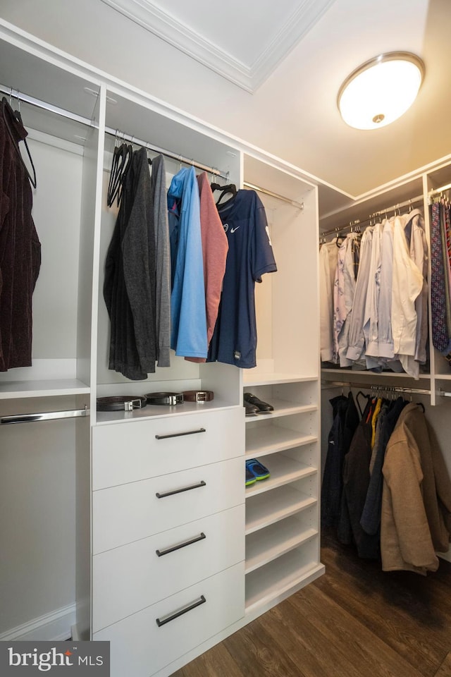 spacious closet featuring dark wood-type flooring