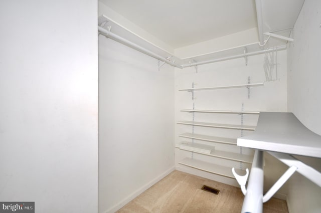 spacious closet with light colored carpet