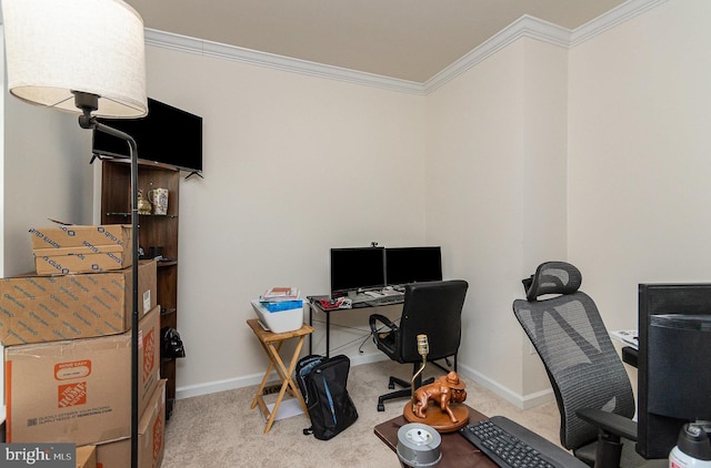 office space with ornamental molding, carpet flooring, and baseboards