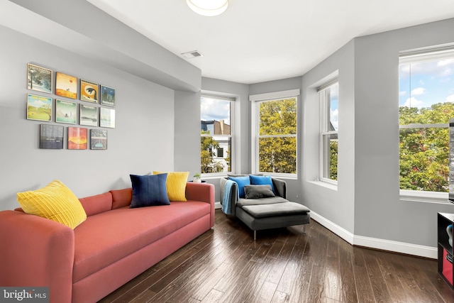 living room featuring dark hardwood / wood-style flooring