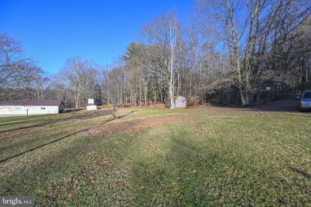 view of yard with a storage shed