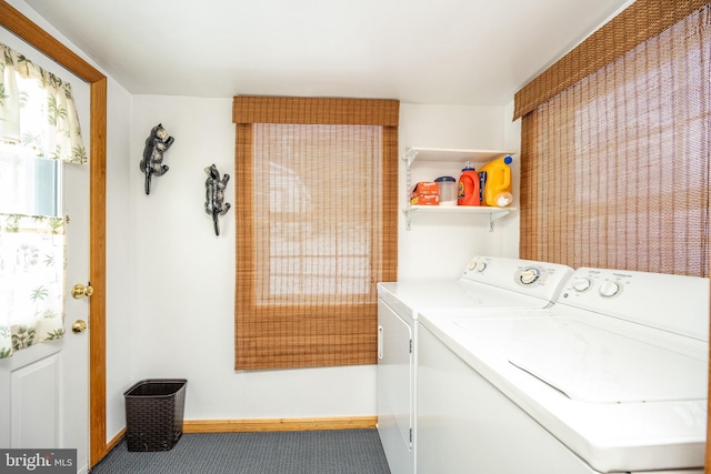 washroom featuring carpet floors and washing machine and clothes dryer