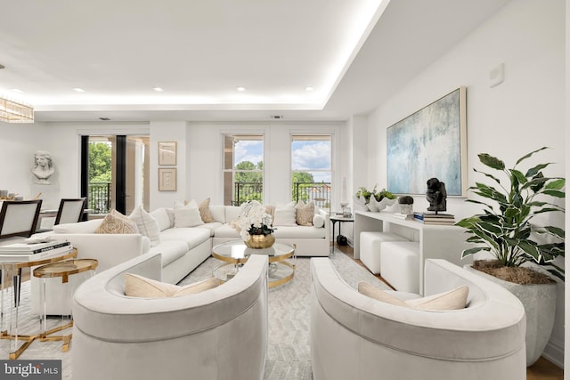 8551 Connecticut Ave Unit 210, Chevy Chase, MD 20815 - living room featuring plenty of natural light and a tray ceiling