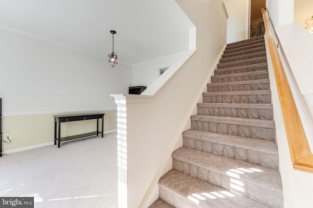 stairs with crown molding and carpet