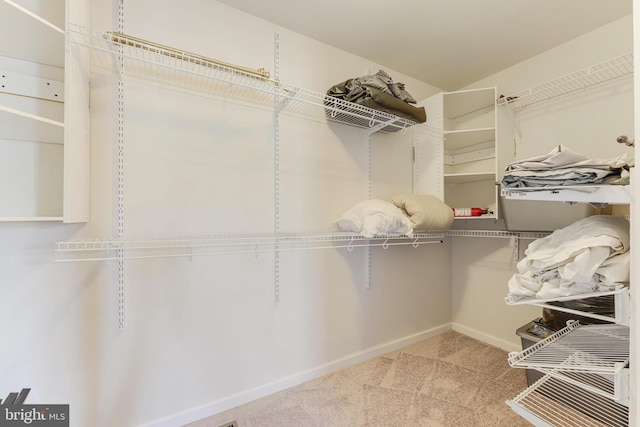 spacious closet with carpet floors