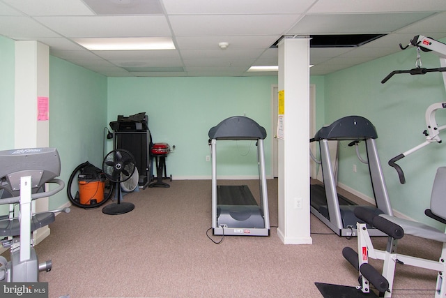 exercise area featuring a paneled ceiling and carpet