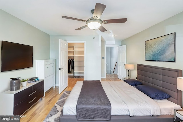 bedroom with ceiling fan, light hardwood / wood-style floors, a walk in closet, and a closet