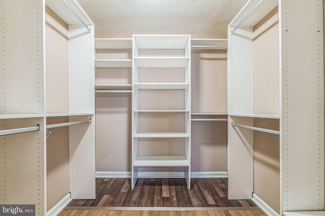 spacious closet with dark hardwood / wood-style flooring